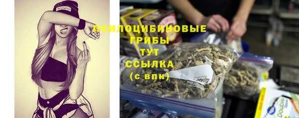 эйфоретик Алексеевка