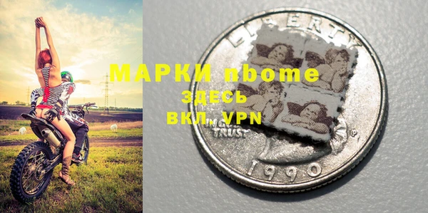 шишки Баксан