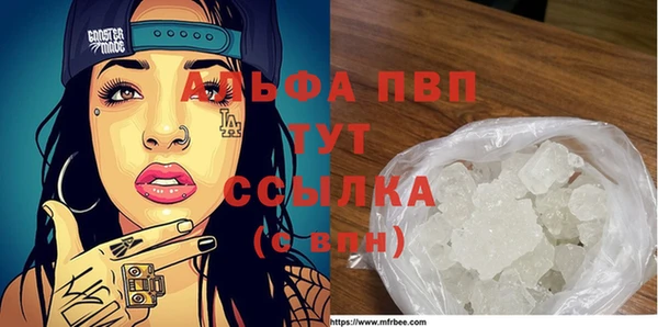 шишки Баксан