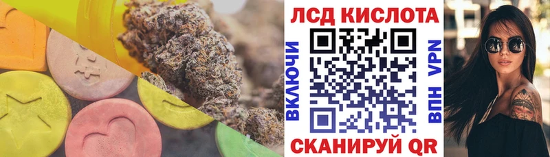 где купить наркоту  Зеленоградск  Лсд 25 экстази ecstasy 