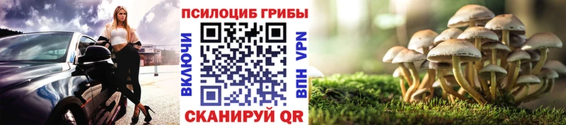 Галлюциногенные грибы MAGIC MUSHROOMS  как найти наркотики  Зеленоградск 